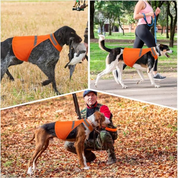 Dog Jacket High Visibility Safety Reflective Dog Vest Review