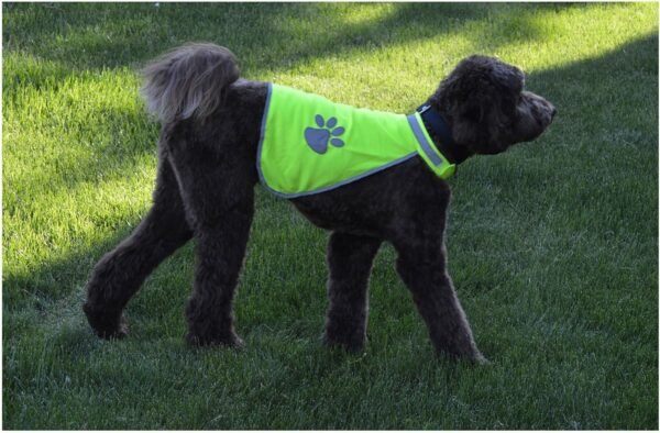 Downtown Pet Supply Reflective Dog Vest Review