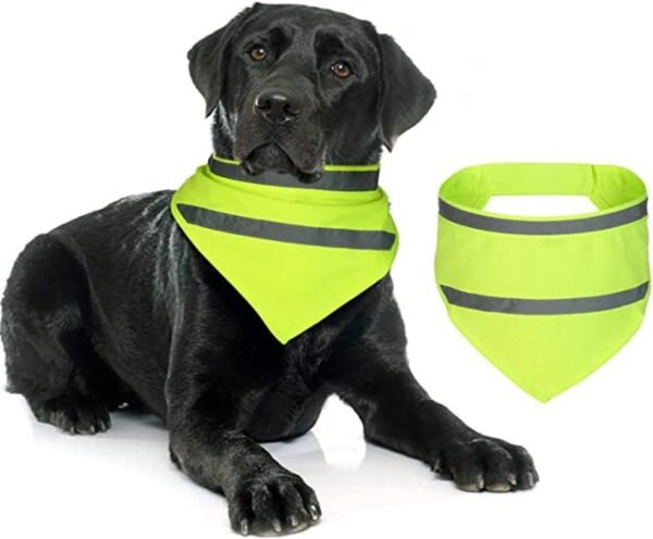 Encell Dog Bandana Reflective Scarf Safety Pet Review