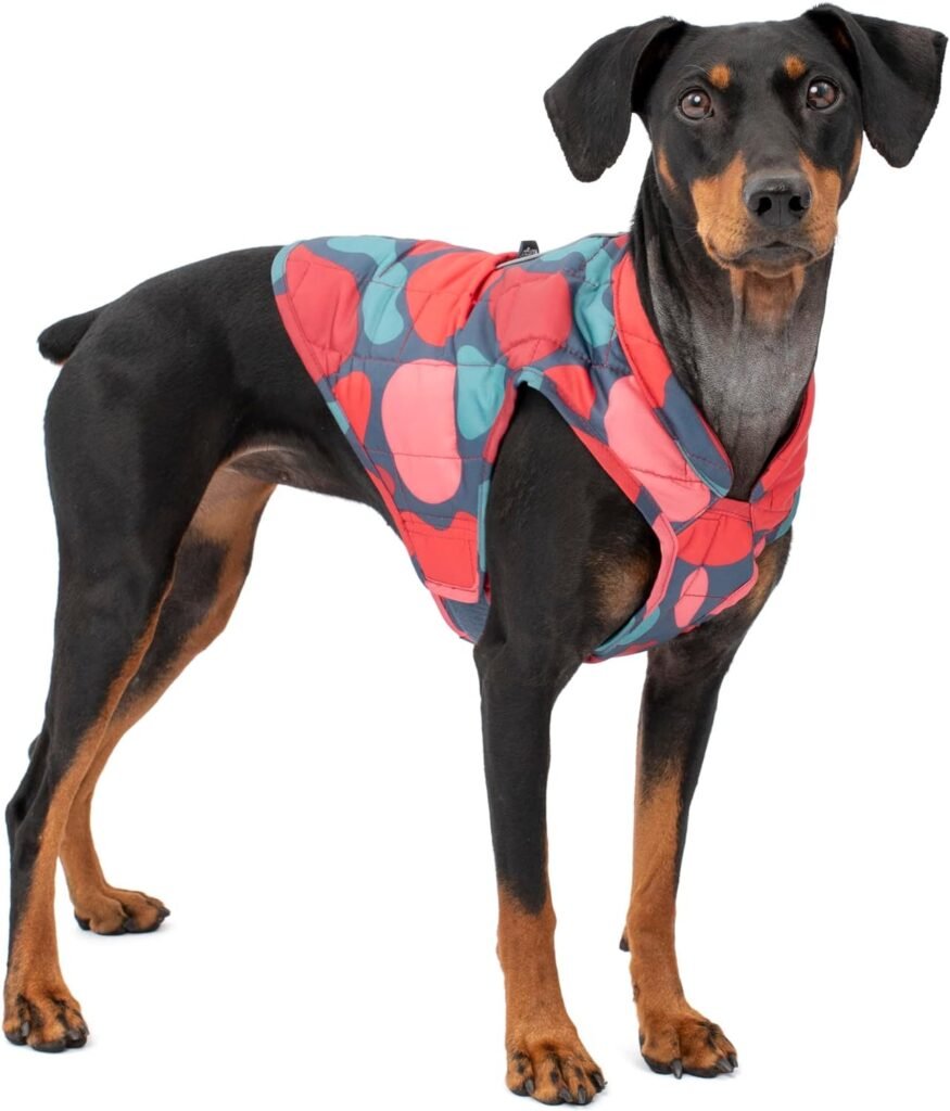 Kurgo Loft Dog Jacket, Reversible Dog Coat, Wear with Harness or Sweater, Water Resistant, Reflective, Winter Coat For Medium Dogs (Coastal Blue, M)