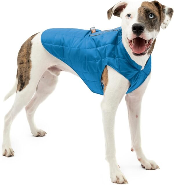 Kurgo Loft Dog Jacket Review