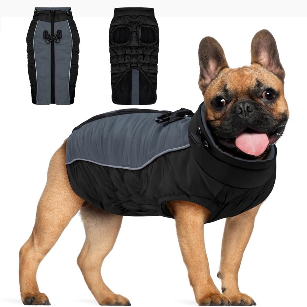 Keggs Dog Coat, Warm Dog Winter Coat Dog Jacket, Dog Cold Weather Coats with Reflective Stripes, Windproof Waterproof Dog Snow Jacket with Zipper, Dog Coat for Small Medium Large Dogs Black M