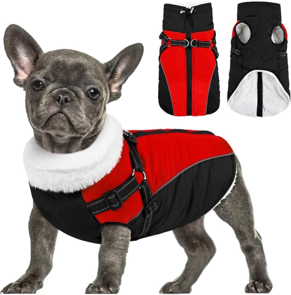 Queenmore Dog Coat, Extra Warm Winter Dog Jacket with Harness Bulid-in, Cold Weather Waterproof Dog Clothes for Large Medium Small Dogs, Fleece Lined Reflective Easy On Dog Snow Jacket,Red/Black XS