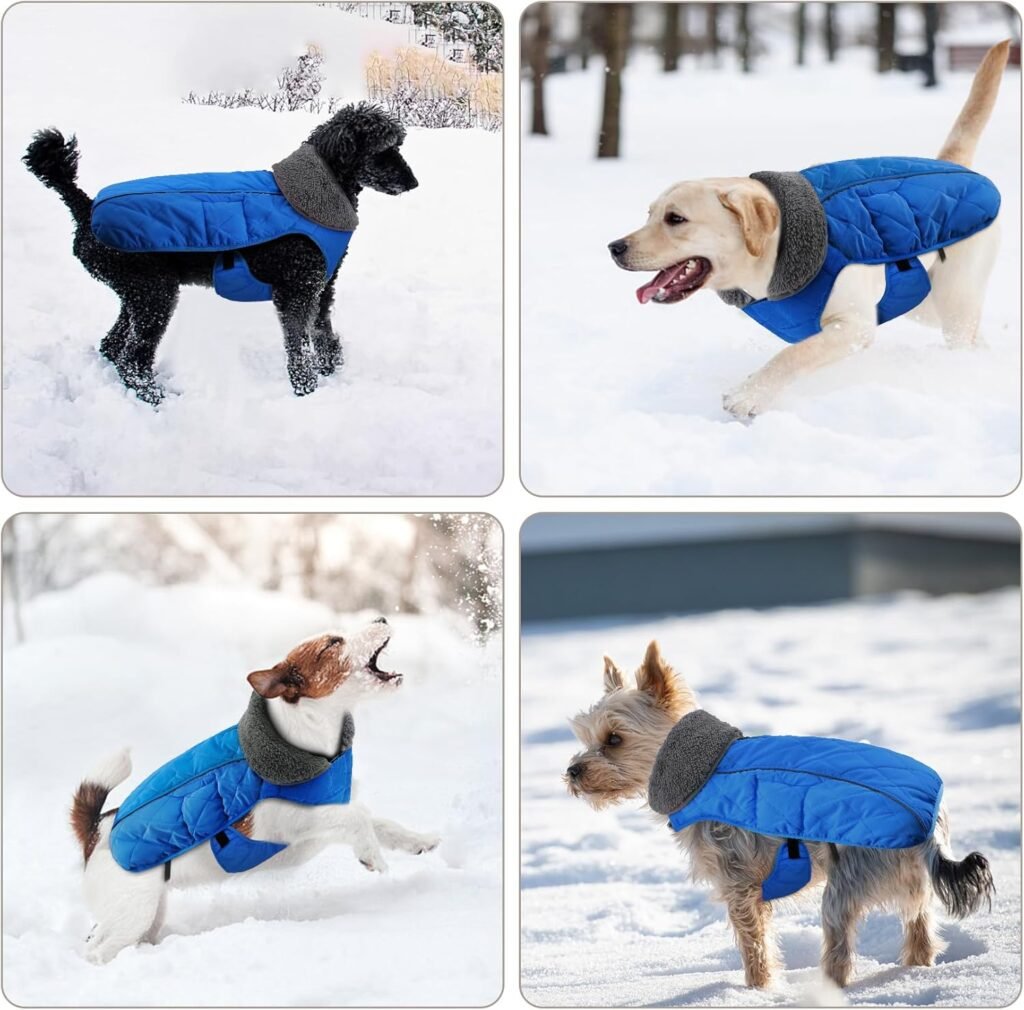 Doglay Dog Winter Coat with Thicken Furry Collar, Fleece Lining Reflective Warm Dog Jacket, Waterproof Adjustable Dog Clothes for Cold Weather, Soft Puppy Vest Apparel for Small Medium Large Dogs