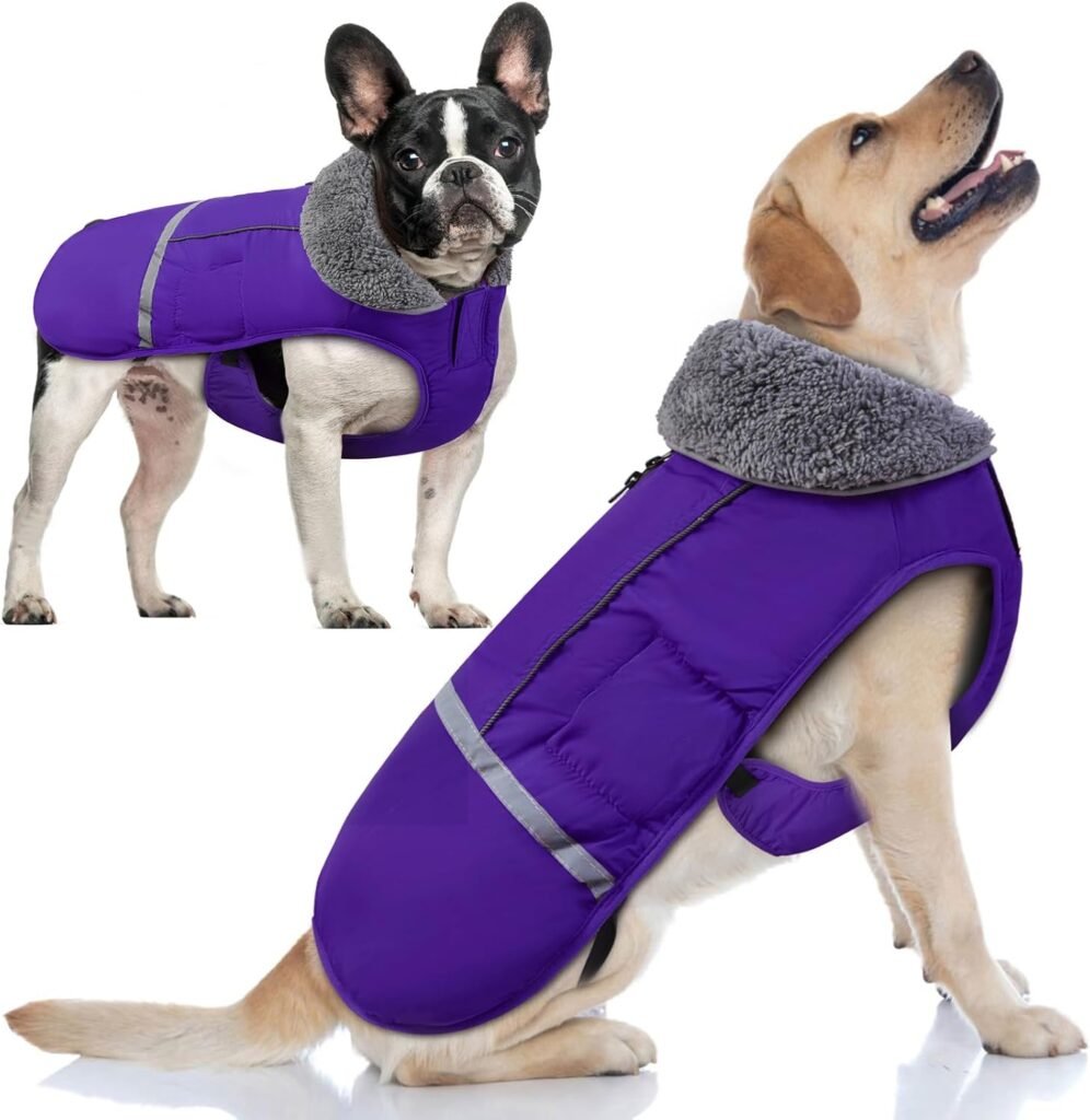 Doglay Dog Winter Coat with Thicken Furry Collar, Fleece Lining Reflective Warm Dog Jacket, Waterproof Adjustable Dog Clothes for Cold Weather, Soft Puppy Vest Apparel for Small Medium Large Dogs