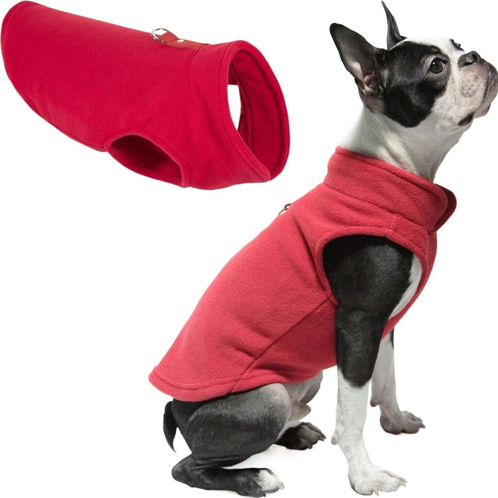 Gooby Fleece Vest Dog Sweater - Red, X-Small - Warm Pullover Fleece Dog Jacket with O-Ring Leash - Winter Small Dog Sweater Coat - Cold Weather Dog Clothes for Small Dogs Boy or Girl