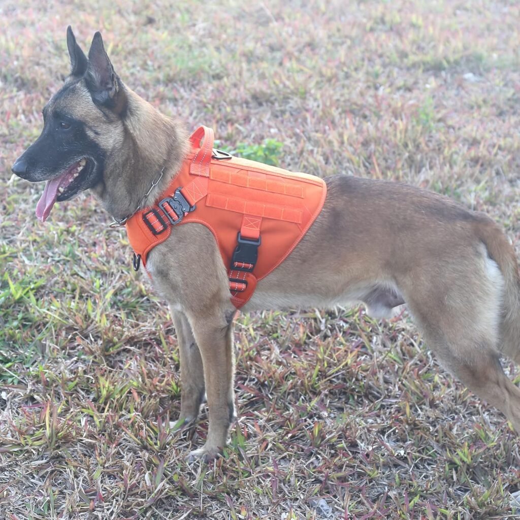 ICEFANG GN1 Reflective Tactical Dog Harness Large Sized, MOLLE K9 Dog Vest with 2X Metal Buckles,Adjustable Pet Harness, No Pulling Front Leash Clip (Large (Pack of 1), Orange)