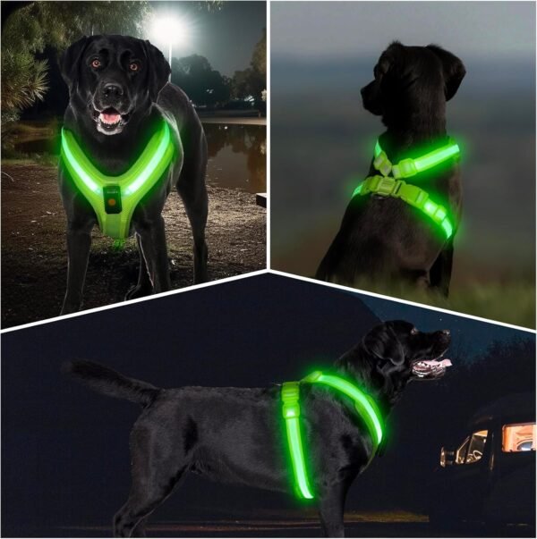 LED Dog Vest Reflective Review